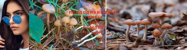 прущие крисы Киреевск