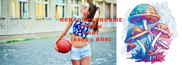 прущие крисы Киреевск