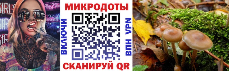 Галлюциногенные грибы MAGIC MUSHROOMS  МЕГА ТОР  Улан-Удэ 