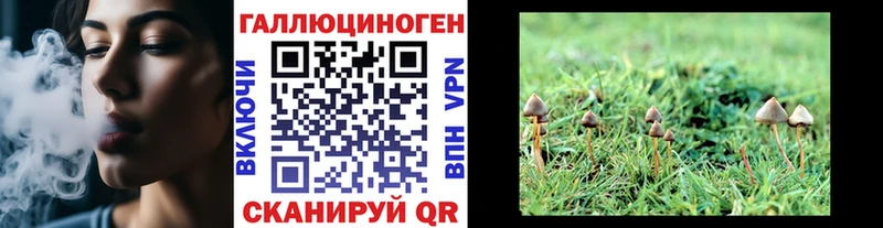 Галлюциногенные грибы Psilocybe Улан-Удэ