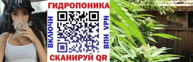 darknet как зайти  Улан-Удэ  Бошки марихуана Bruce Banner  даркнет сайт 